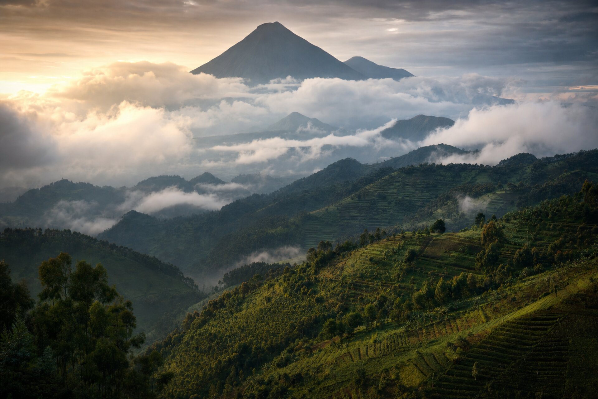 The Rwandan Highlands